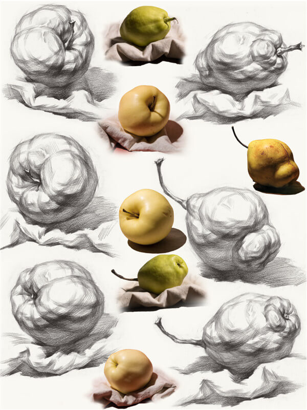 如何讓素描靜物急速提高?只需你做到廣州十大畫室整理的這3條圖8