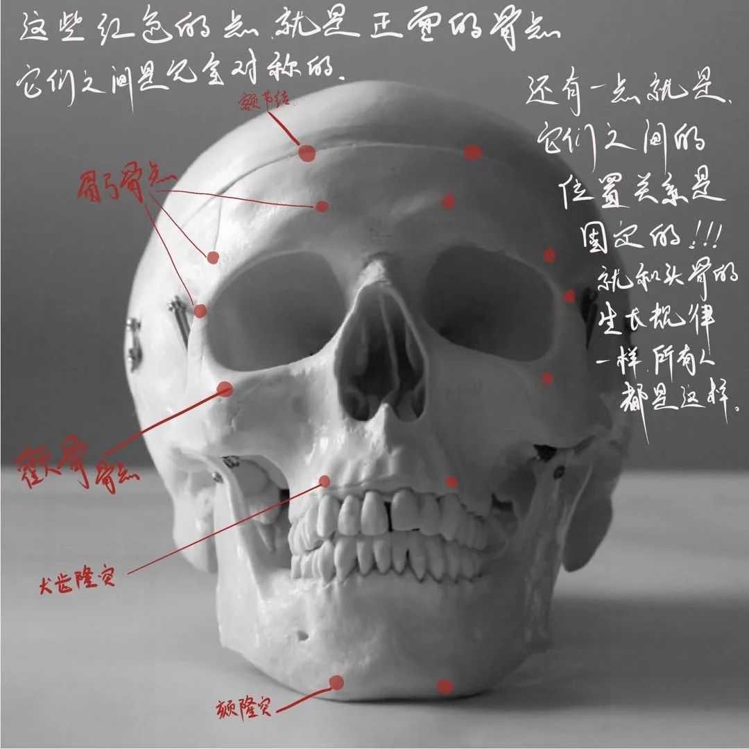 想要拿下校考素描頭像高分嗎?廣州十大畫室教你技巧,10