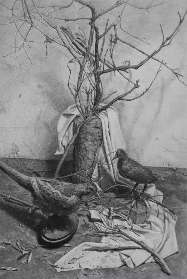 想要你的素描牛，廣州美術(shù)高考班建議從這五點(diǎn)開始,03