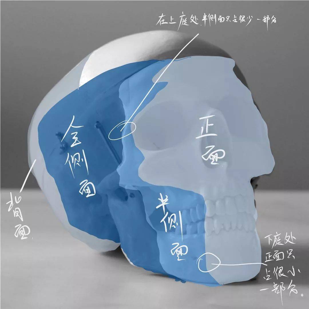 想要拿下校考素描頭像高分嗎?廣州十大畫室教你技巧,03