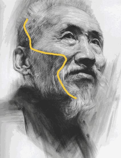 廣州十大畫室告訴你處理好素描明暗交界線還有這些方法,10