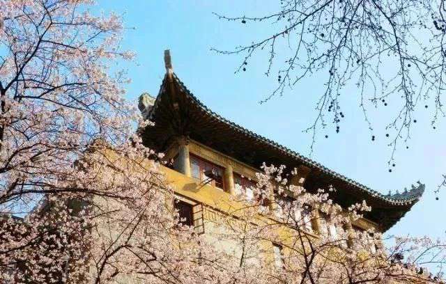 這些實力堪比美院的985院校,都開設了美術類專業(yè)!廣州圍墻畫室附圖9