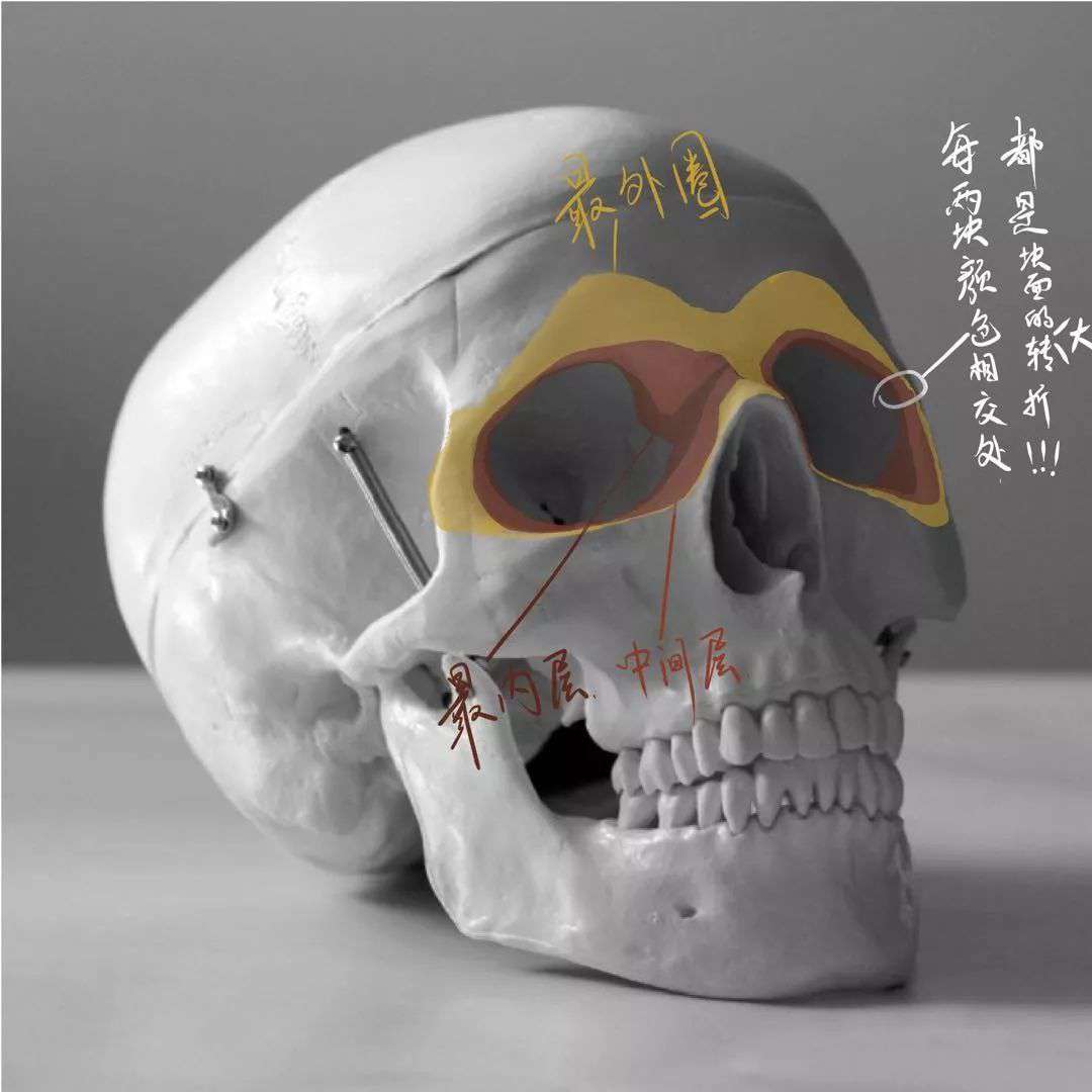 想要拿下校考素描頭像高分嗎?廣州十大畫室教你技巧,04