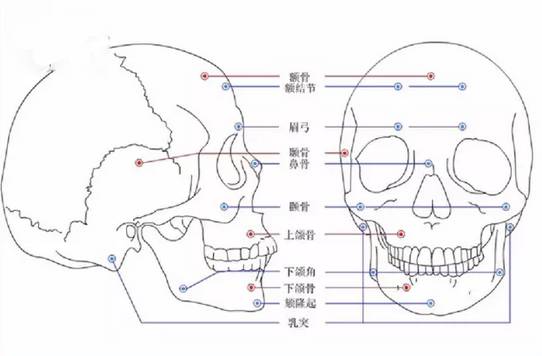 這些素描頭像默寫秘訣,廣州十大畫室之告訴你,01