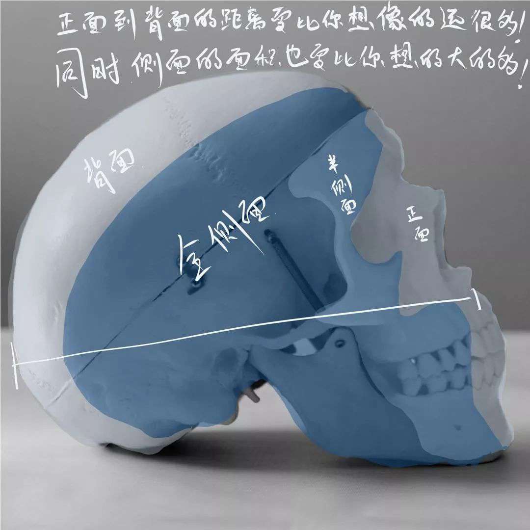 想要拿下校考素描頭像高分嗎?廣州十大畫室教你技巧,02