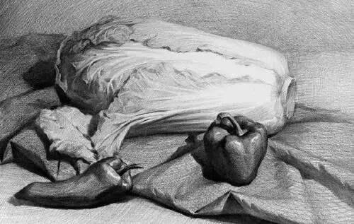 如何提升素描寫生訓(xùn)練技巧?2