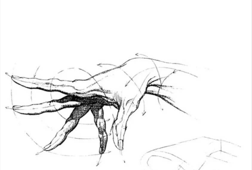 半身像門檻太高?跟著廣州畫室小圍老師教程其實并不難