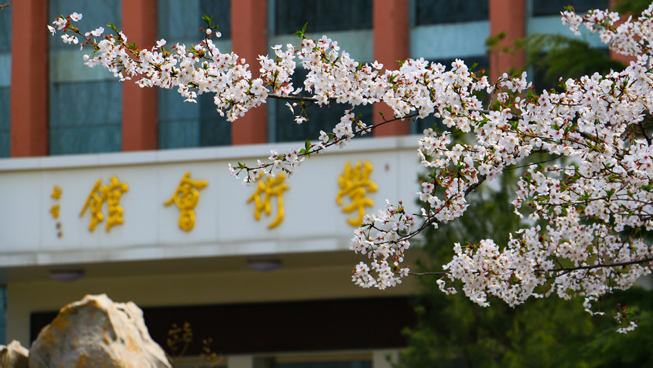 廣州美術高考班將承認聯考成績的83所院都整理處理了,52