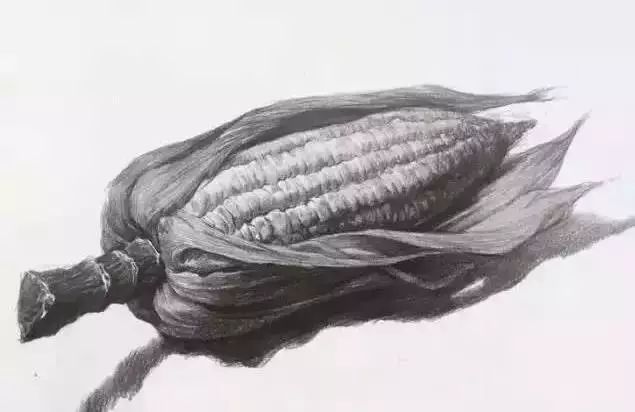 廣州美術(shù)高考班告訴你吃透這7類素描靜物質(zhì)感,聯(lián)考不用怕了,11