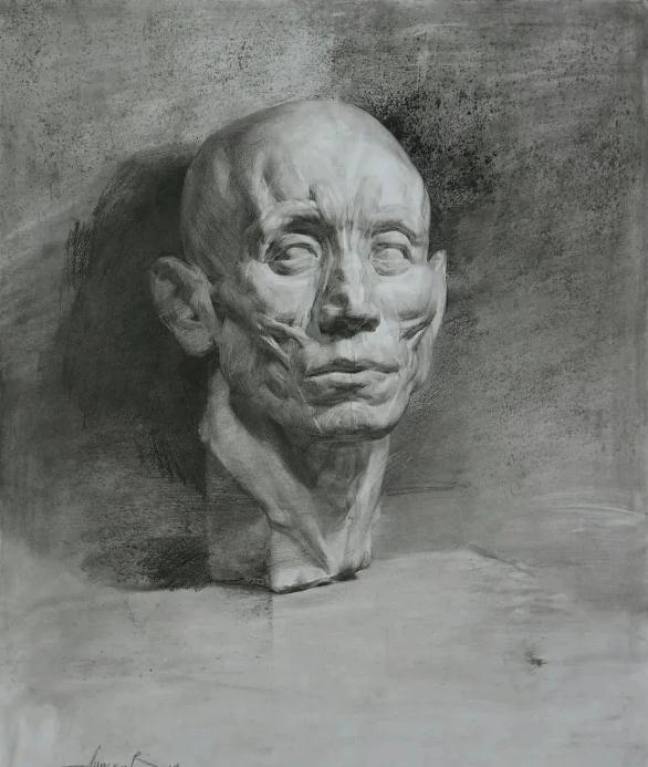 嚴謹的造型、生動的技法,廣州美術高考班覺得這類作品很適合臨摹,26