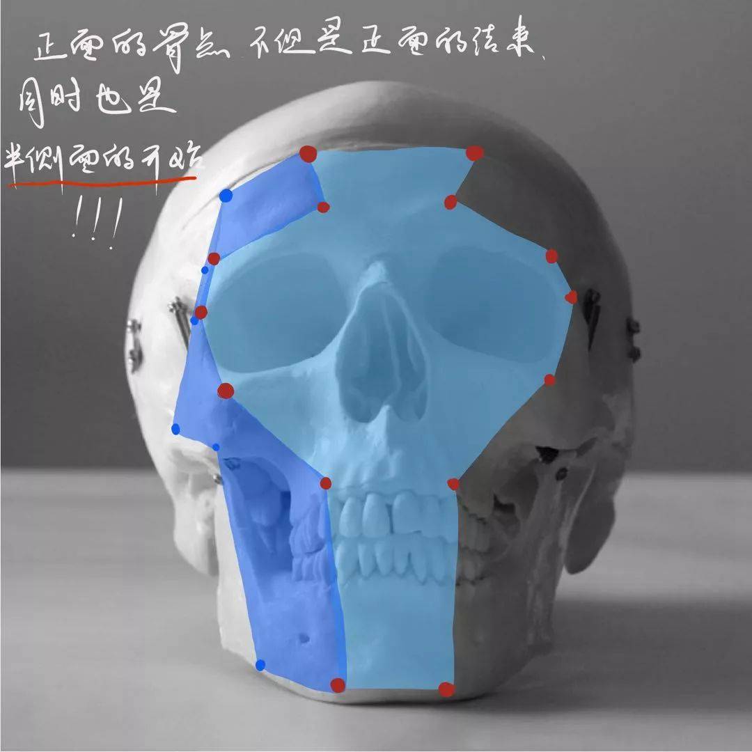 想要拿下校考素描頭像高分嗎?廣州十大畫室教你技巧,17