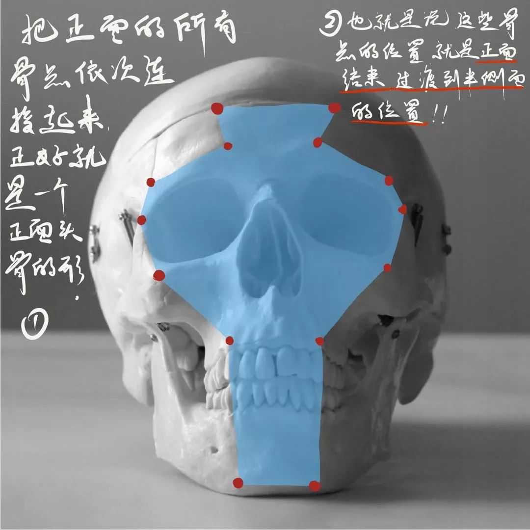 想要拿下校考素描頭像高分嗎?廣州十大畫室教你技巧,12