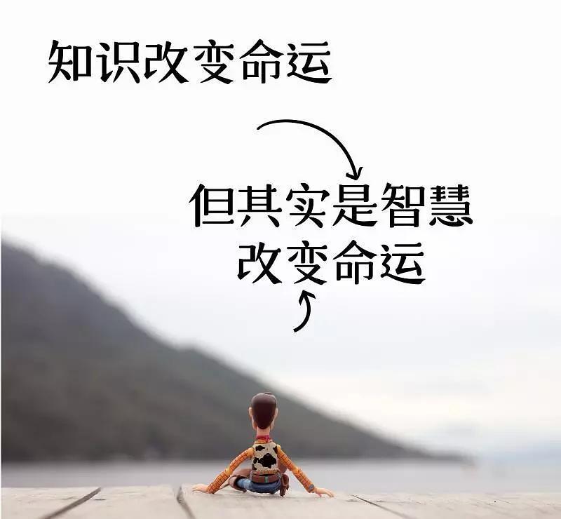 高考快來了?作為美術藝考生的你決定報哪家了嗎?圖五