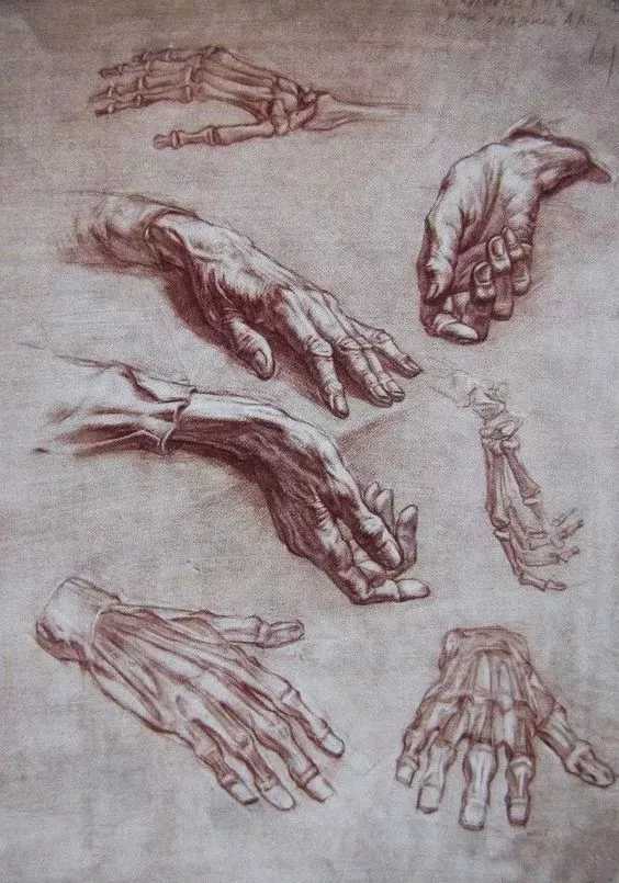 廣州美術高考班給咱安利一些列賓素描頭像結構,讓你受用一生,21