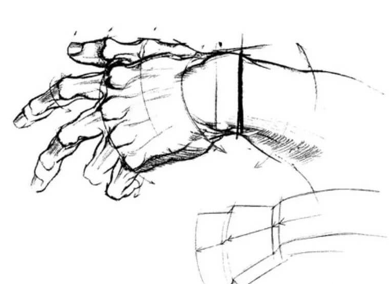 半身像門檻太高?跟著廣州畫室小圍老師教程其實并不難