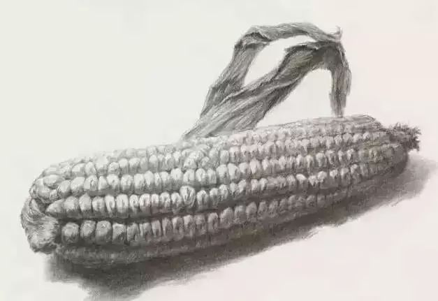 廣州美術(shù)高考班告訴你吃透這7類素描靜物質(zhì)感,聯(lián)考不用怕了,09