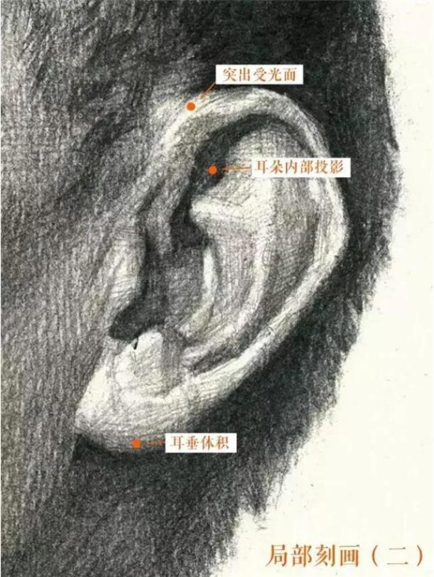 廣州排名前十畫室給你整理的干貨|教你畫一張高分素描頭像,10