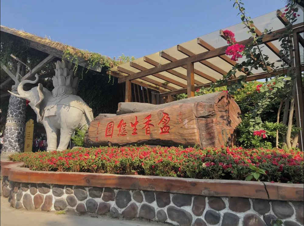 廣州圍墻畫室,廣州圍墻美術培訓,廣州畫室戶外活動,04