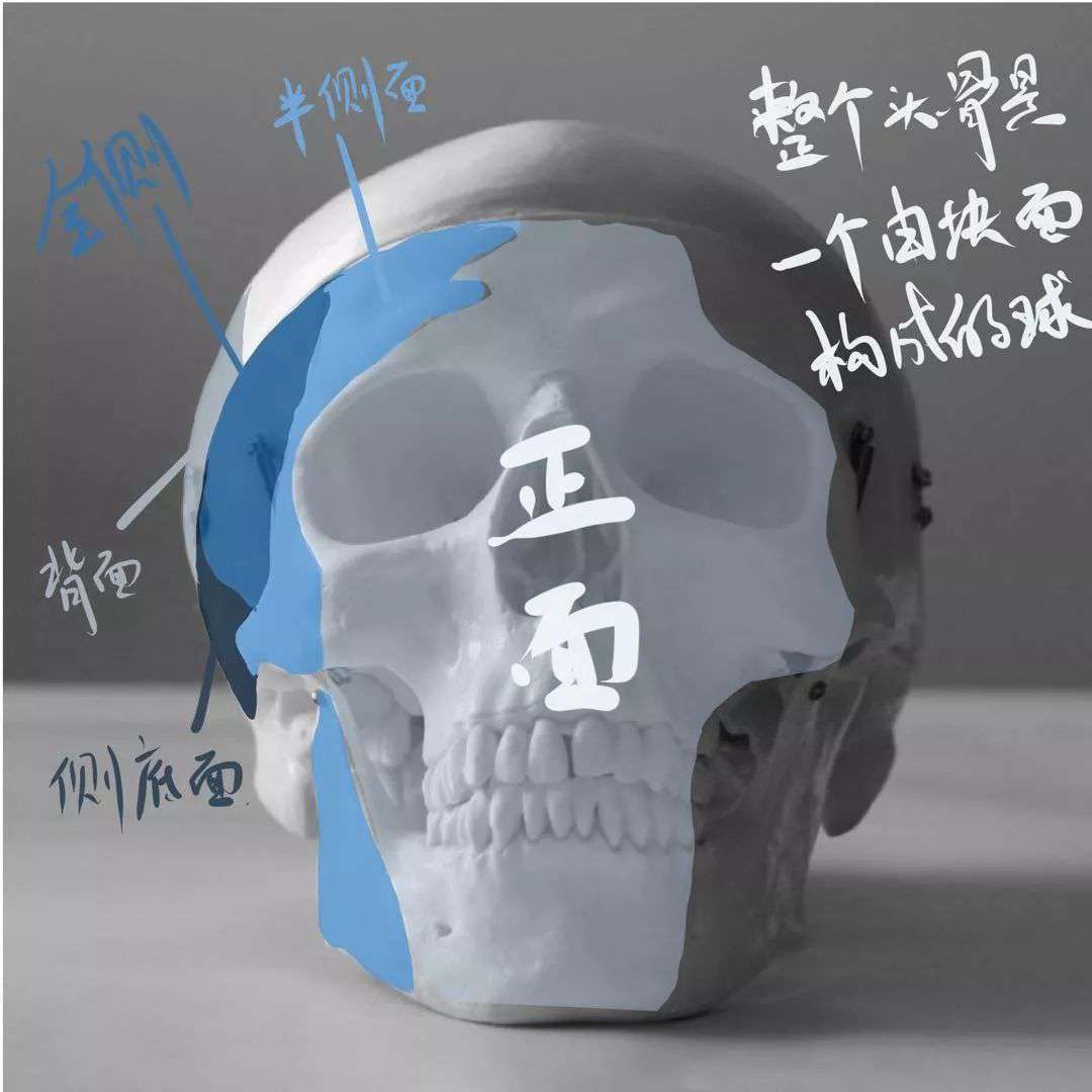 想要拿下校考素描頭像高分嗎?廣州十大畫室教你技巧,01