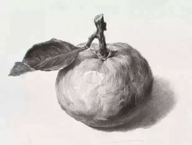 廣州美術(shù)高考班告訴你吃透這7類素描靜物質(zhì)感,聯(lián)考不用怕了,01