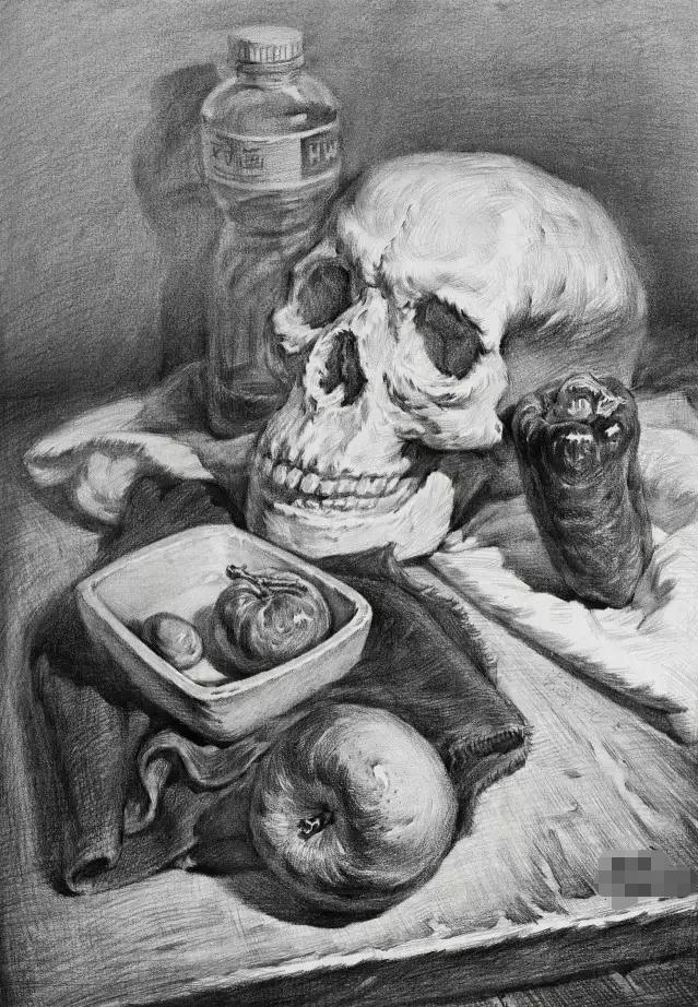 想要你的素描牛,廣州美術(shù)高考班建議從這五點(diǎn)開始,05